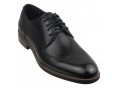 Frank Williams (Business) L25-662